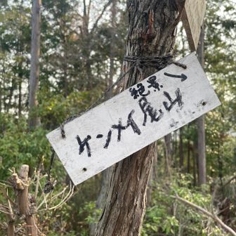 ホームです！なんて言ってるけど、【ケンメイ尾山】山頂ははじめて👍😳
なかなかの急登急降下でした😵‍💫