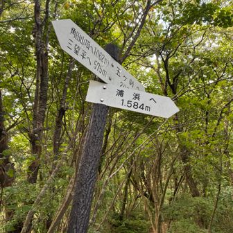 キツネノカミソリ群生地は終わり。
この先は、角田山山頂までは黙々と登る💦