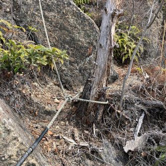 第2チムニー直前のロープを留めてる木が腐ってるのであまり力を入れて引っ張ると危ないです。近くの大岩にロープをかけ直した方がいいかもです