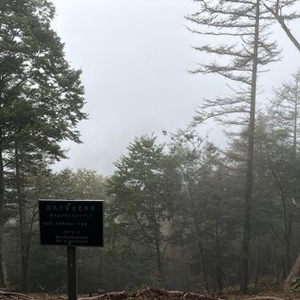 鶴寝山からの眺望はガス