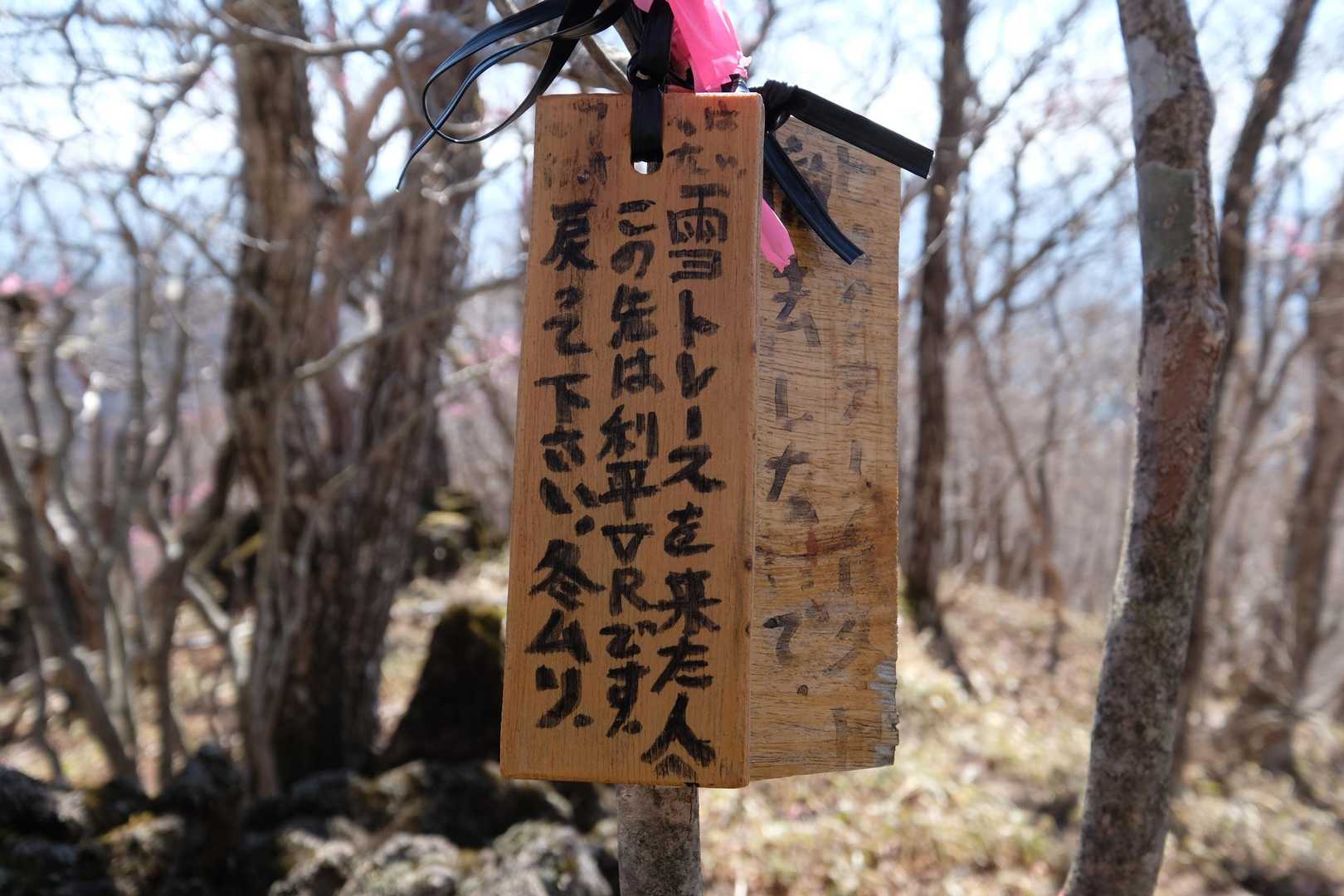 ここバリルートなの😮
積雪時は岩々のヤセオネっぽい所がヤバいのかな？