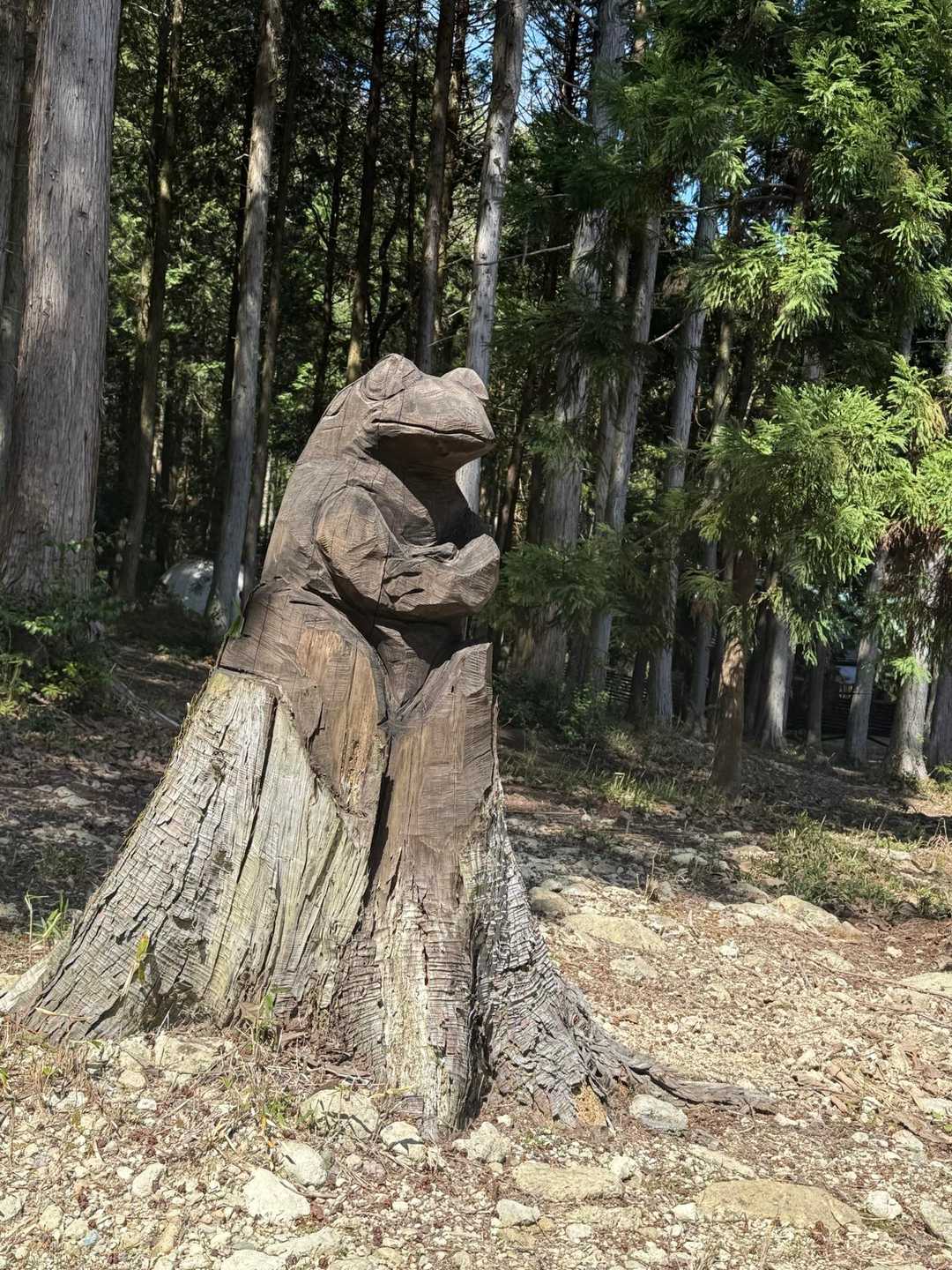 🐸どうや、今日も楽しめたか~✨