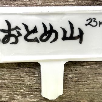 山名板🪧🐜🤗
