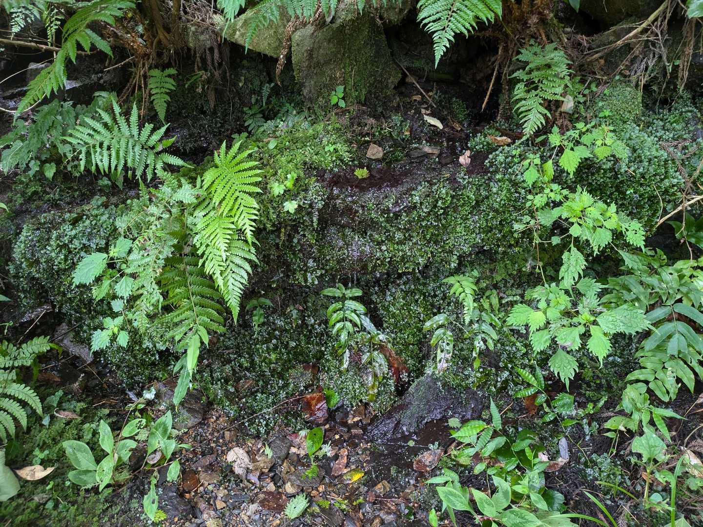 下山します