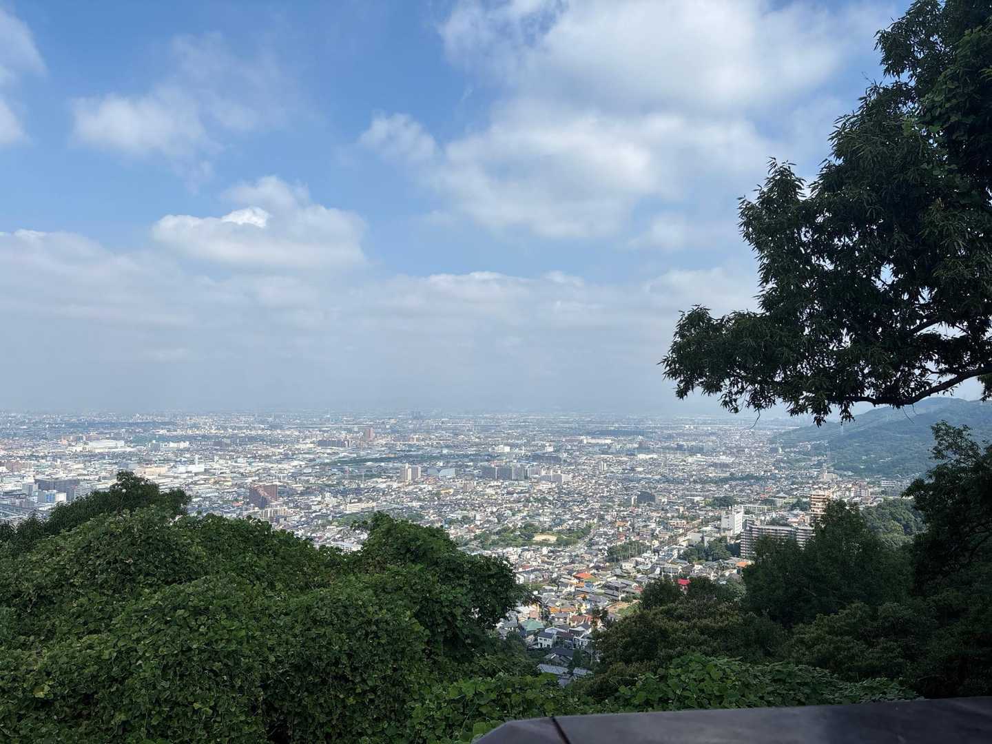 展望台からの眺望も良いですね〜