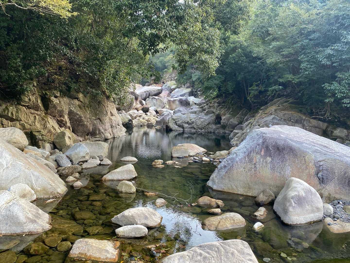 刀剣山1峰 周回コースの写真