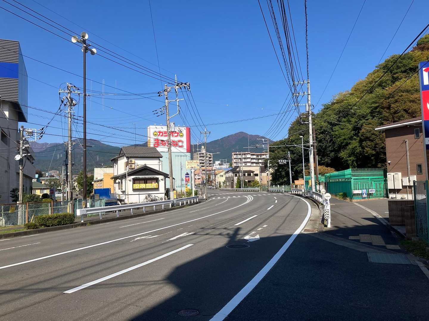 正面に大山