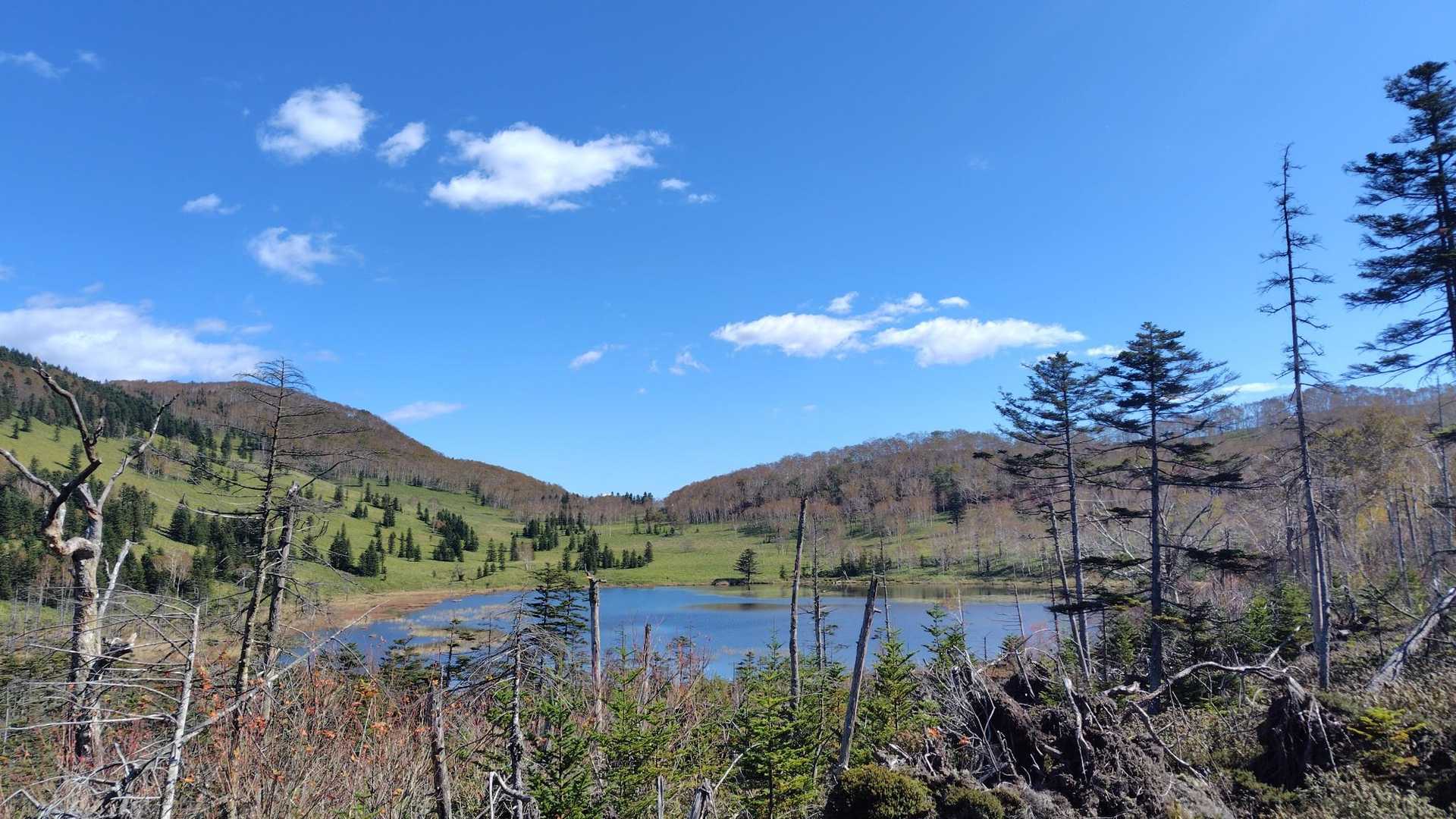 北海道三大秘湖！！
しののめこ✨️
ぽかーん、と　ある

ぐるっと紅葉🍁に囲まれてると勝手に予想してたのが
思いのほかグリーン💚
手前の倒木の寂れた感じと相まって不思議
トドワラナラワラの辺りを彷彿😽

静謐
秘湖を体感✨️

※オンネトー（足寄町）
　オコタンペ湖（千歳市）とで
　北海道三大秘湖ですと💡