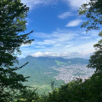 夏に向かって緑が濃くなってきてますなー
