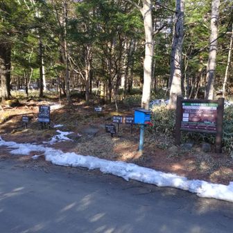 杣添尾根(そまぞえおね)登山口から入ります🚶
読み方、難しい〰️😅