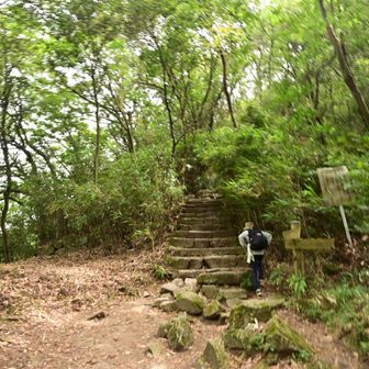 ここから岩場が所々あります