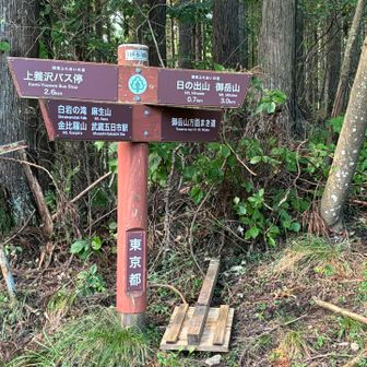 上養沢への下山路は、いま通行止め。