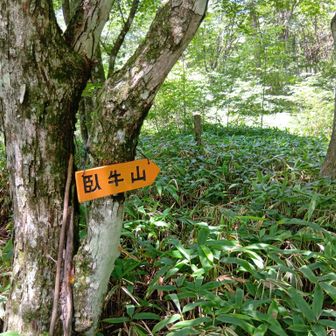 ヤセオネ峠〜 🐮臥牛山へ