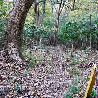 ここの降りが何気に急。落ち葉も沢山で滑りそうだった。鎖捕まりつつ