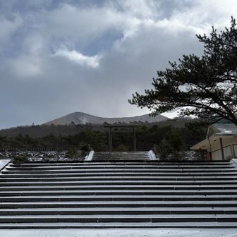 石段の上に鳥居が
