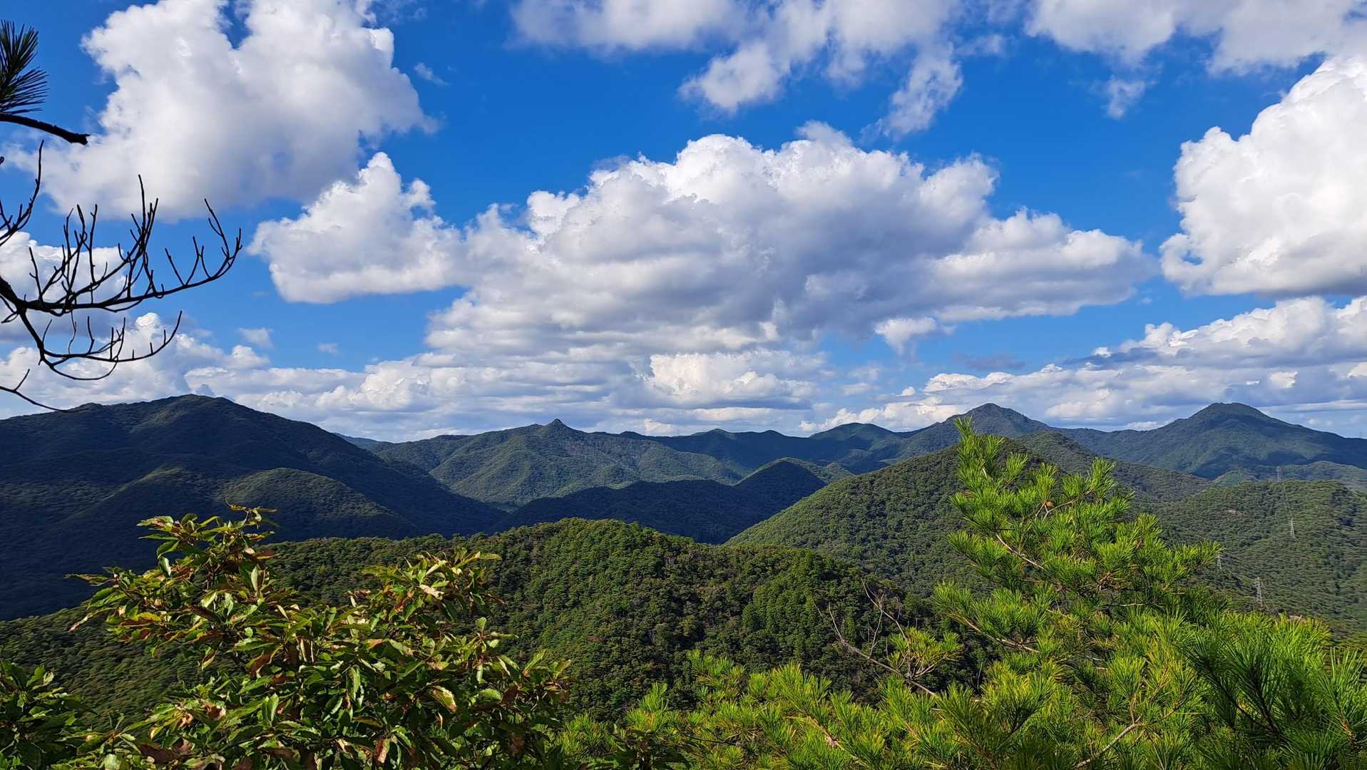 篠山方面？　美しい山波です✌️