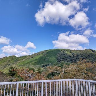 北