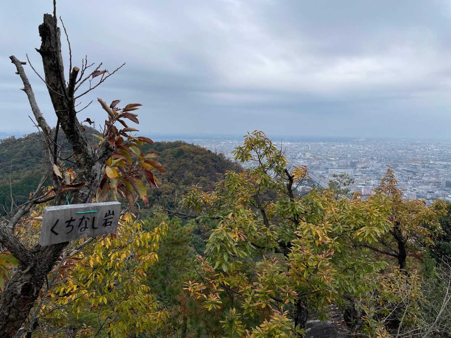 洞山-野一色権現山 往復コースの写真