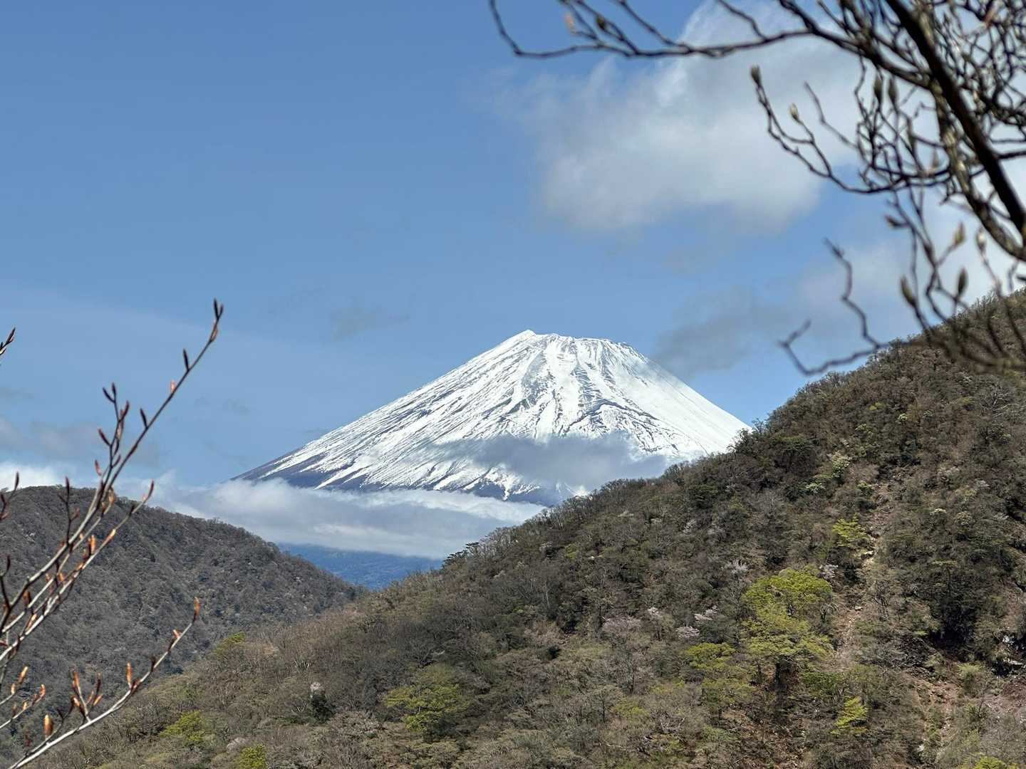 池の平-位牌岳-一服峠-袴腰岳-馬場平-愛鷹山-愛鷹山登山 周回コースの写真