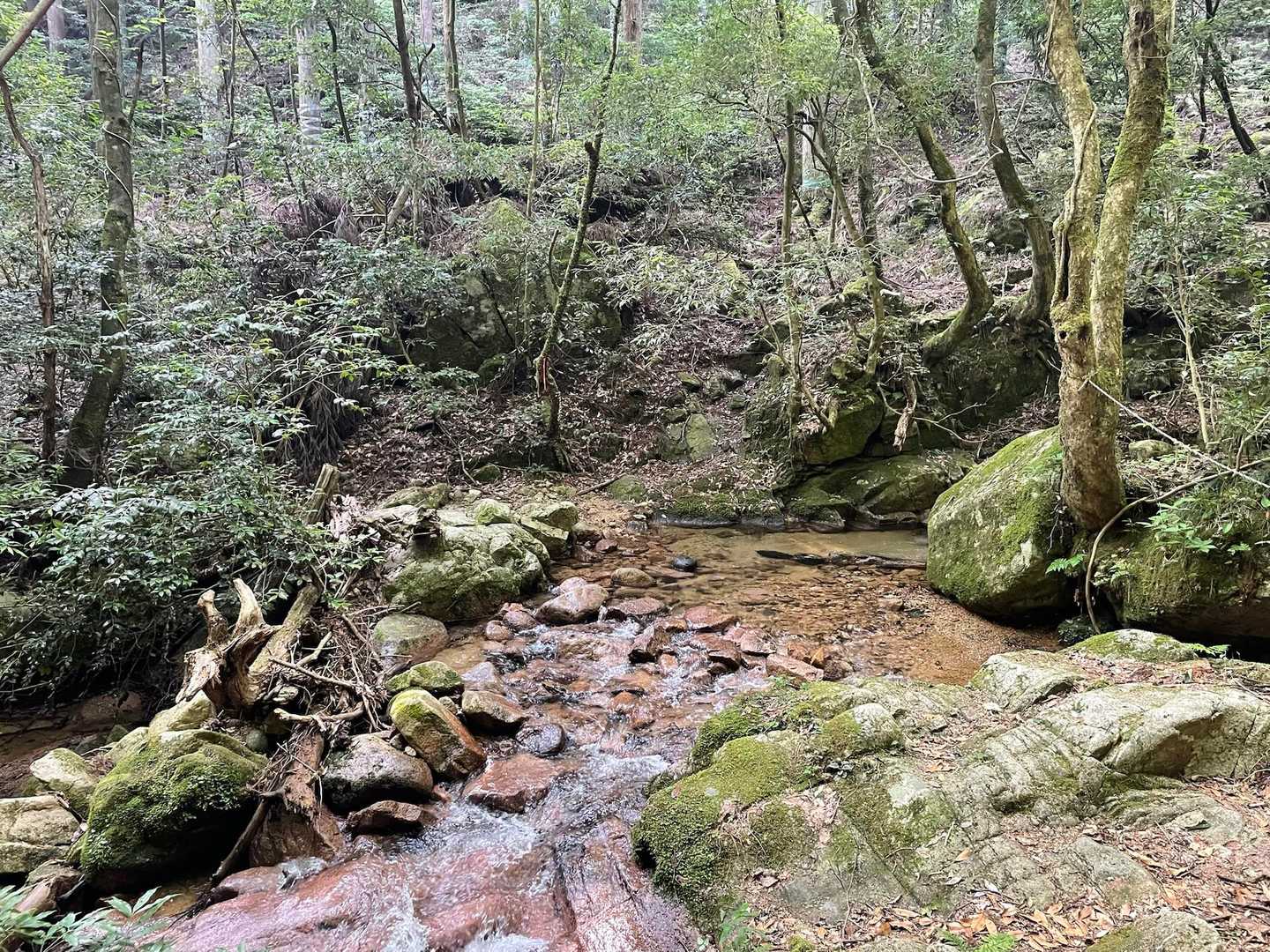 はじめの渡渉💧