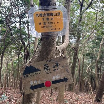 老僧山南峰
こちらは十一ノ山