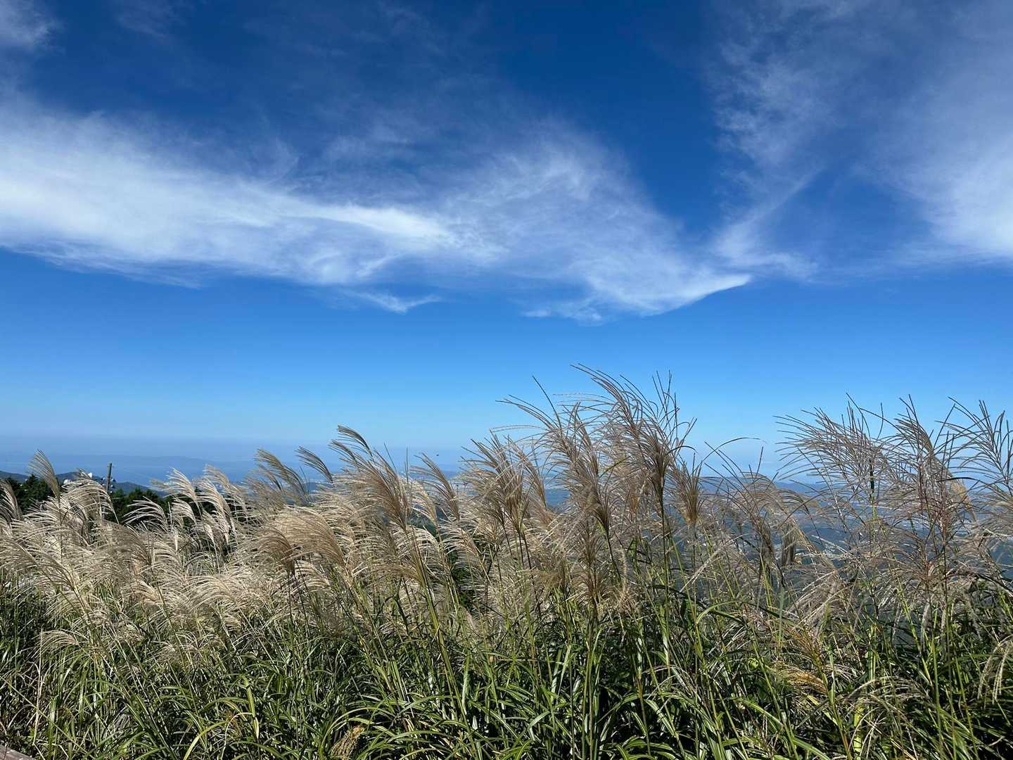名残惜しいけど、そろそろ下山しよ💧