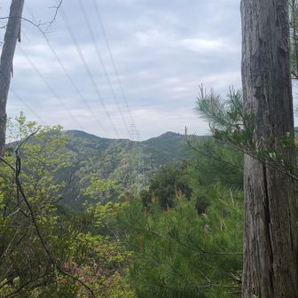 ⛰️近江百山⛰️ 猪背山・黒山 / araiotouの登山データ | YAMAP