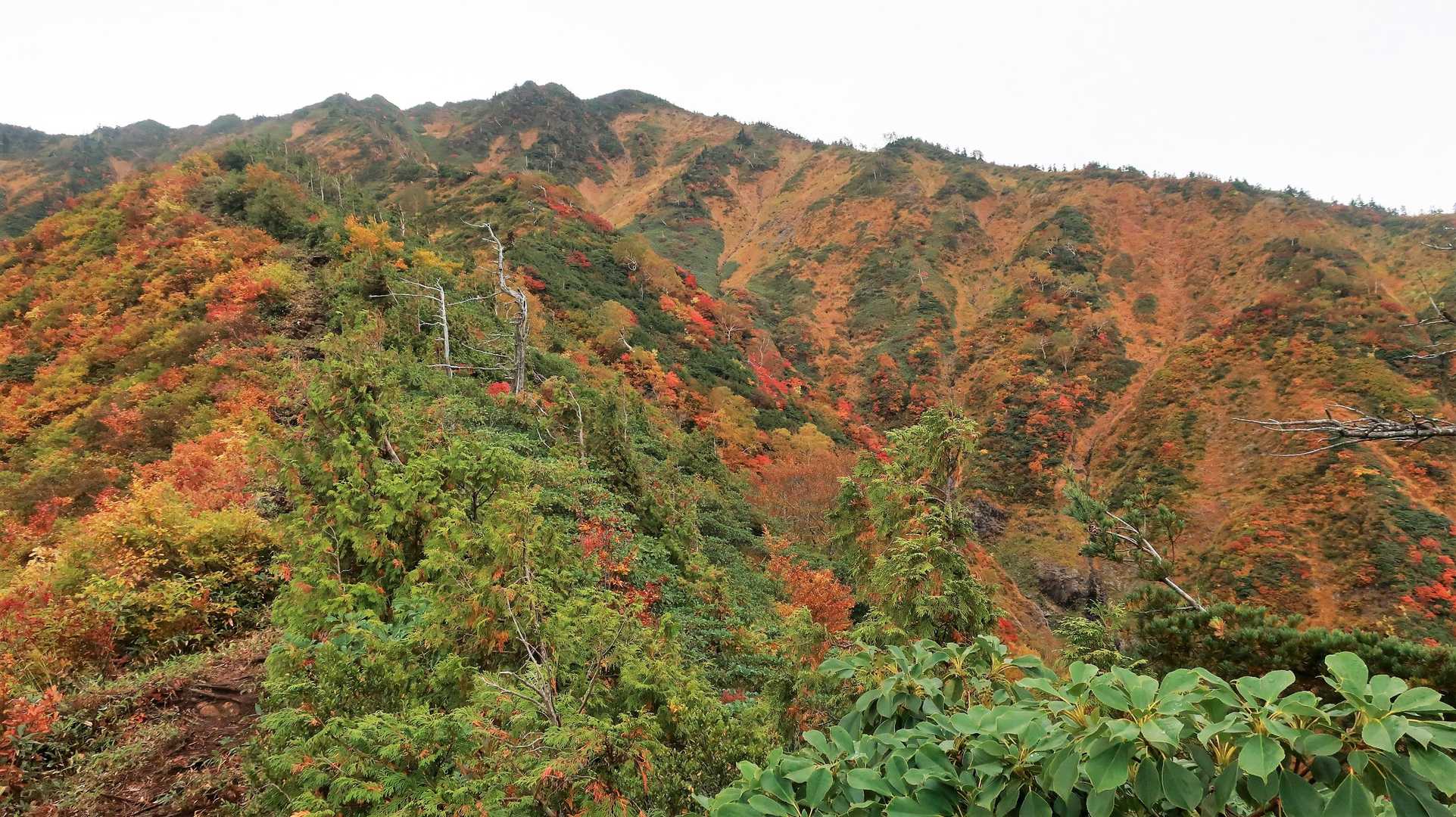 銀山平登山口-前山-前嵓下-前嵓-荒沢岳 往復コースの写真