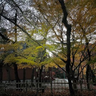 こちらも駐車場付近