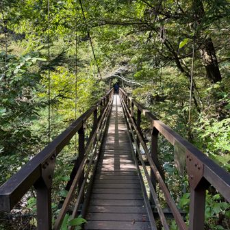 北岳へのアプローチっぽい吊り橋