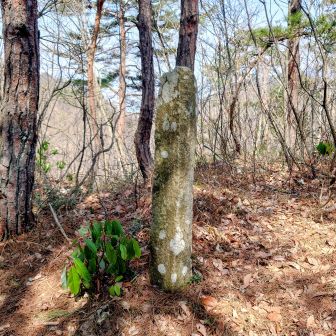 中岡山＆小岡山は名板無し
岡山（おかやま）:340ｍ
石碑あり🥵
ここも体力を確実に持ってかれる🐒