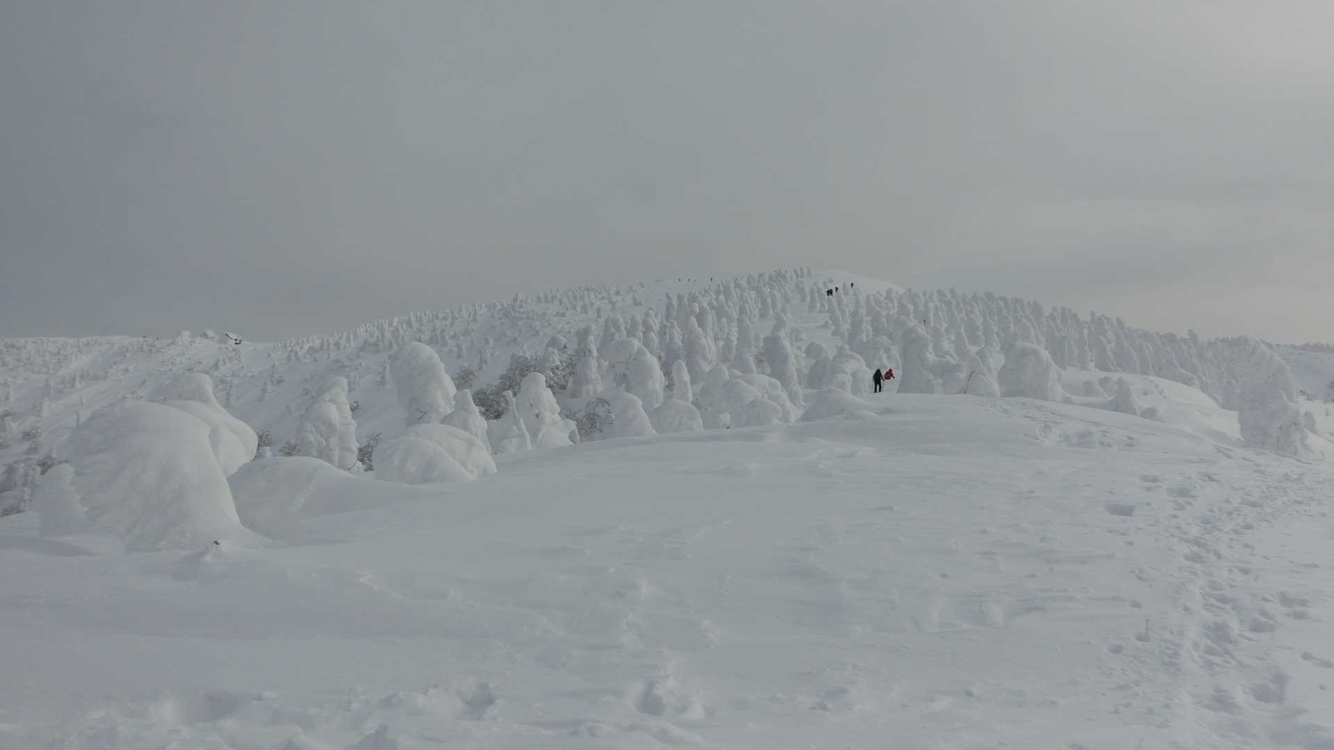 樹氷平を過ぎて登山コースへ！登山届出さないと行けませんので要注意！登山客、BCの方が向かってます。