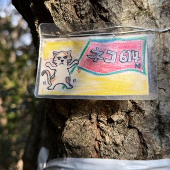 しかし、うちの子たちのアクスタ忘れるミス💧