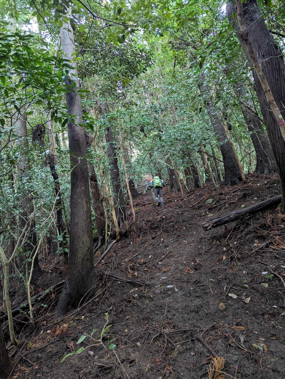 激登り第2弾の始まり😱