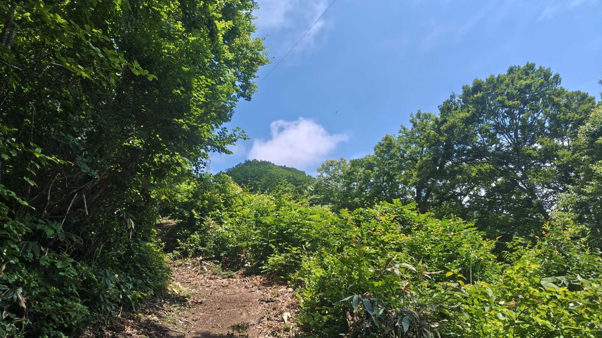 嗚呼…暑いし帰りたい