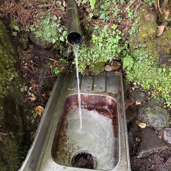 水の元　ここまでにまぁまぁの汗
助かるぅ〜