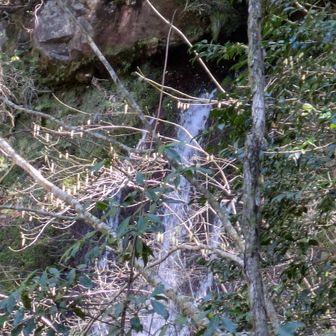 水は岩窟から出てきているようです。