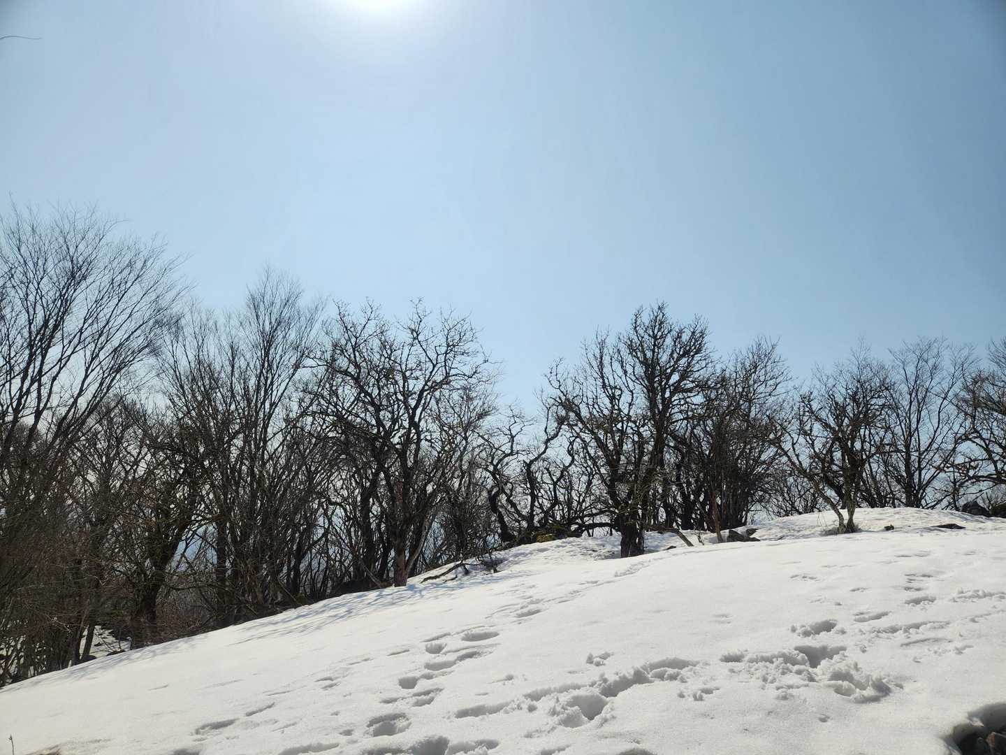 登りきると❄が綺麗😃✨