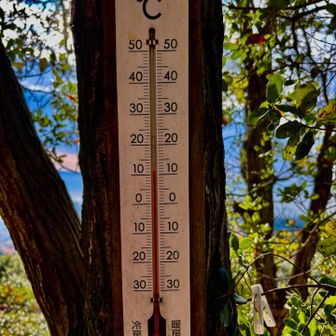 今日は暖かい、たくさん汗かきました💦