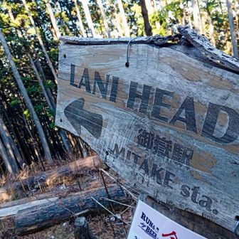 そう
ここからが激下り