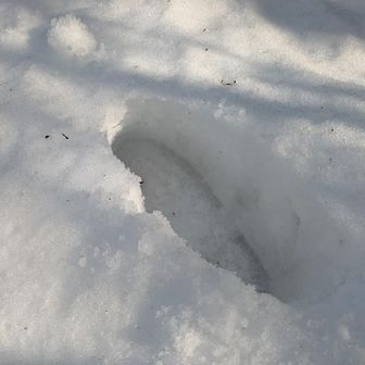 積雪10cmくらいかな？