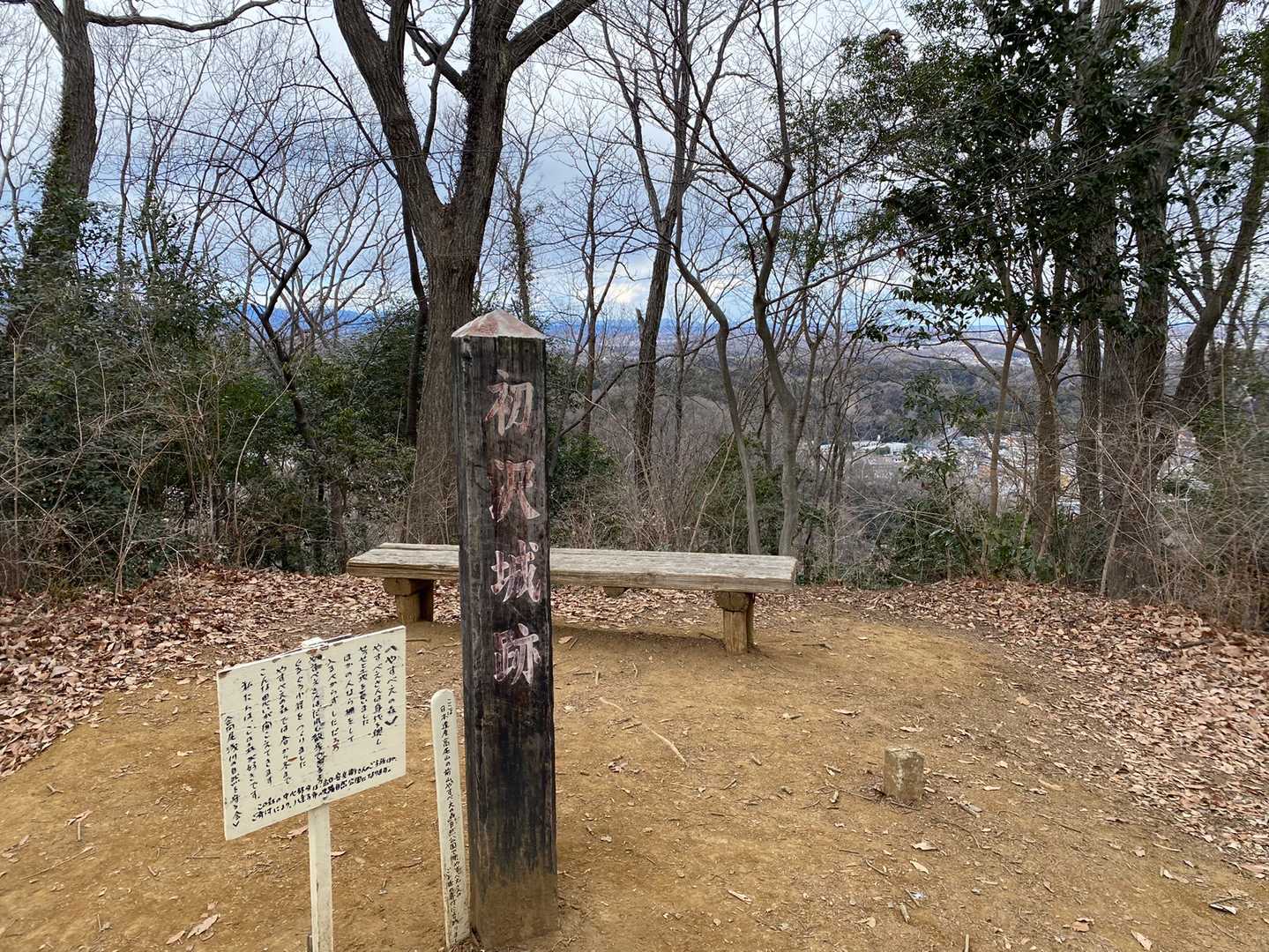 初沢山山頂