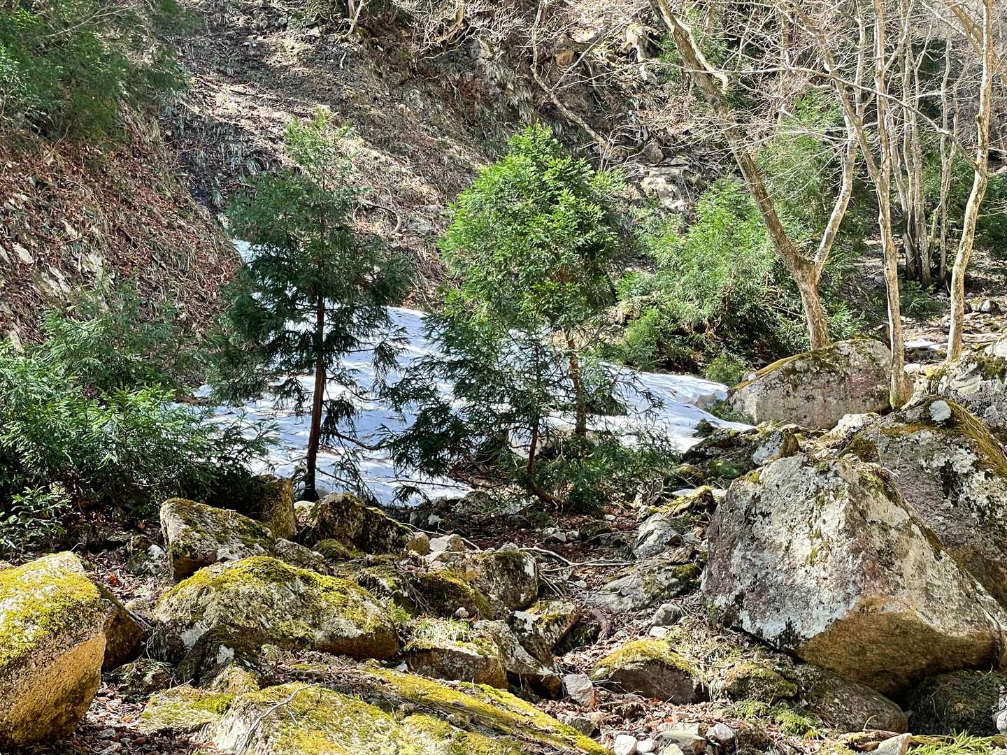 ここには雪が沢山残っていました