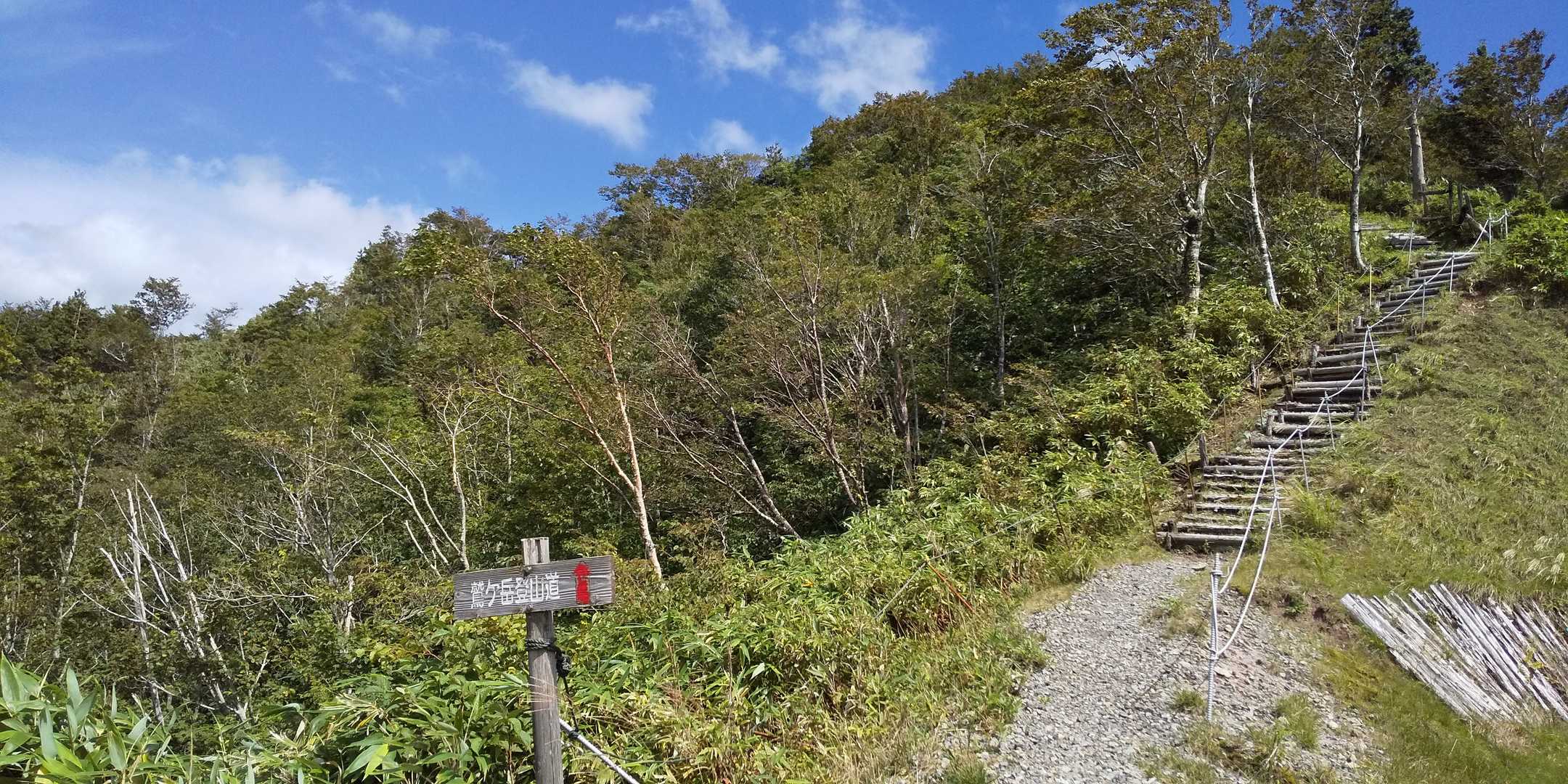 悪路の林道をガタガタ走りながら一番上の登山口へ。ここまで来れただけでちょっと満足(  ＾∀＾)