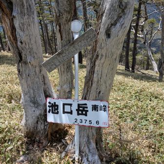 味のある古い山名標もまだ解読可能。