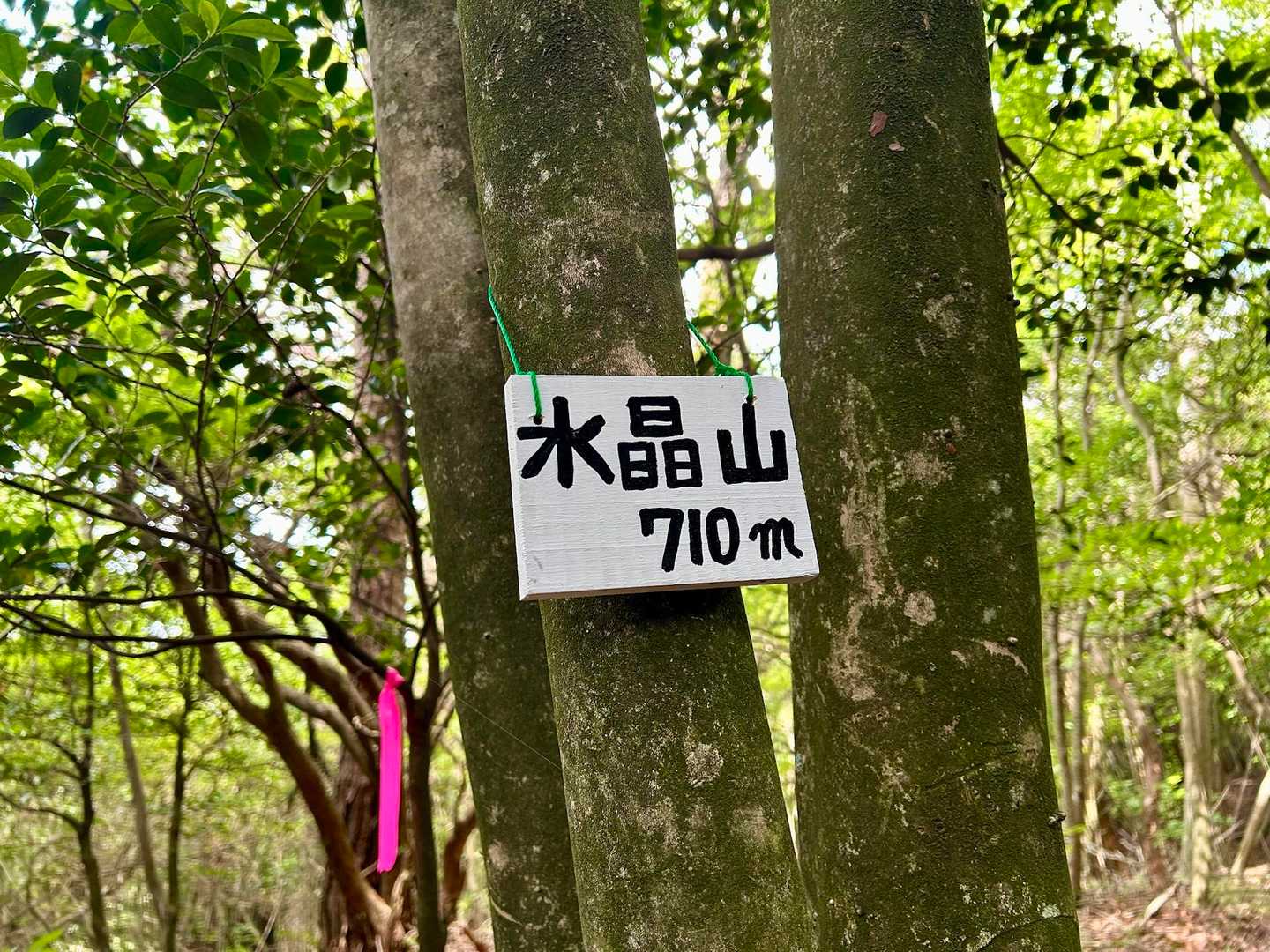 水晶山を通って地獄谷西尾根で下山