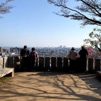 公園内の展望スポット