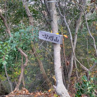 結構な急登です。下りはルートを外れ、滑りやすい悪路で時間を食いました。