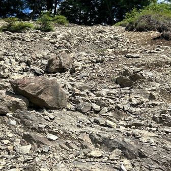ヨモギノ頭までの急登