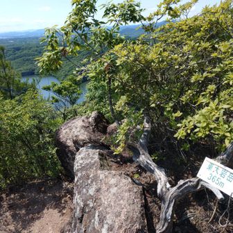 東大岩ヶ岳山頂（標高: 365m）に
到達しました。

この山頂の看板の裏手にある岩から
千苅貯水池を望むと
素敵な形に見えるのです😀